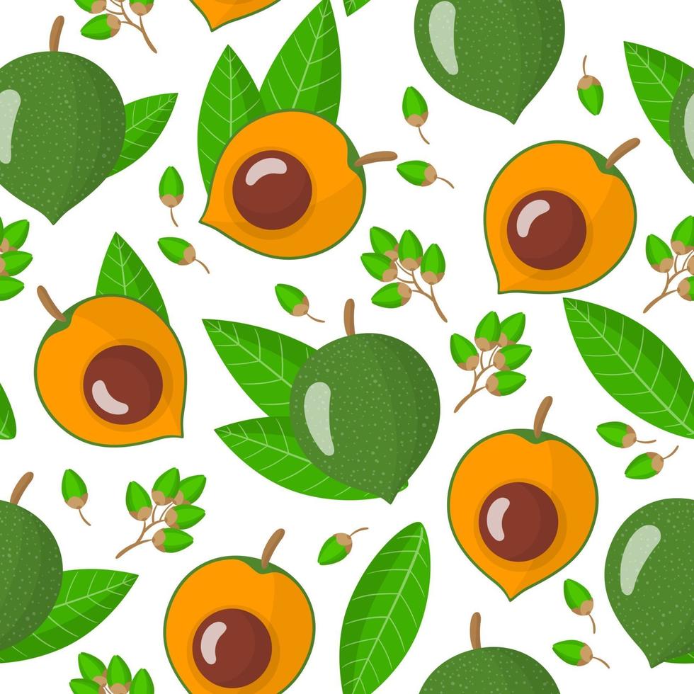 Vector cartoon seamless pattern with Pouteria lucuma exotic fruits, flowers and leafs on white background