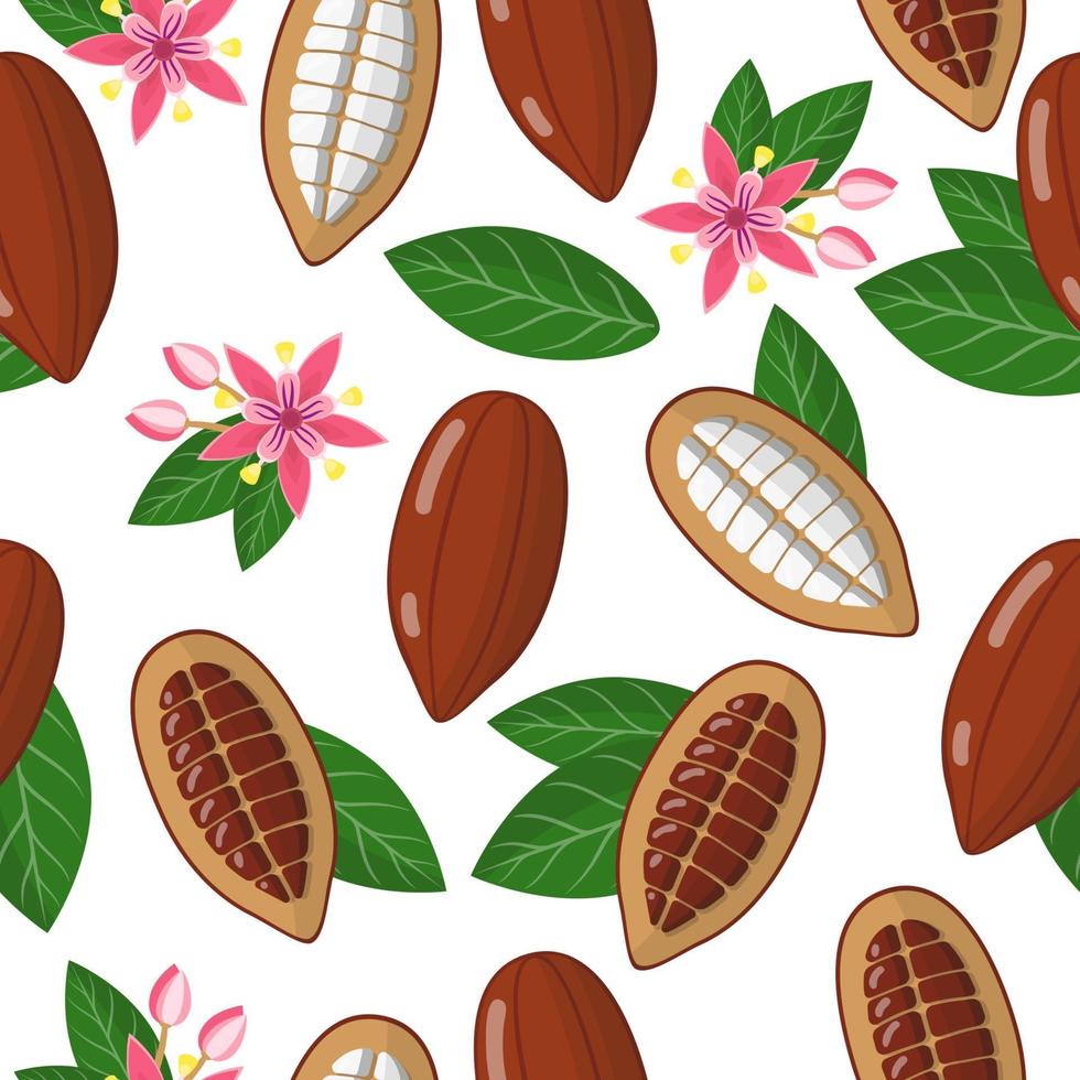 Vector de dibujos animados de patrones sin fisuras con theobroma cacao o árbol de cacao frutas exóticas, flores y hojas sobre fondo blanco.