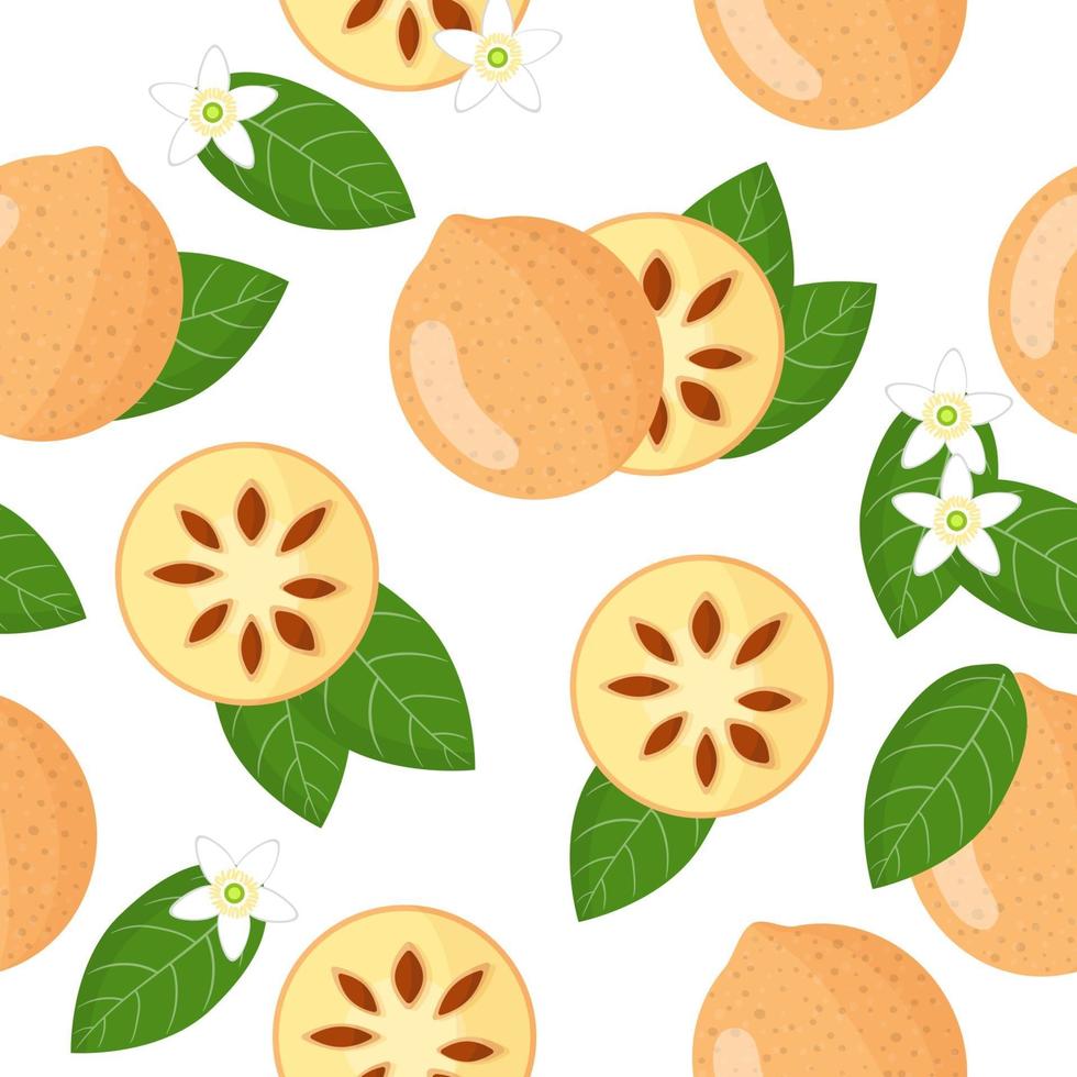 Vector de dibujos animados de patrones sin fisuras con aegle marmelos o bael frutas exóticas, flores y hojas sobre fondo blanco.