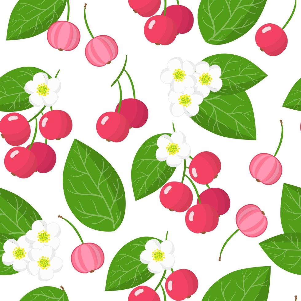 Vector cartoon seamless pattern with Muntingia calabura or Capulin exotic fruits, flowers and leafs on white background