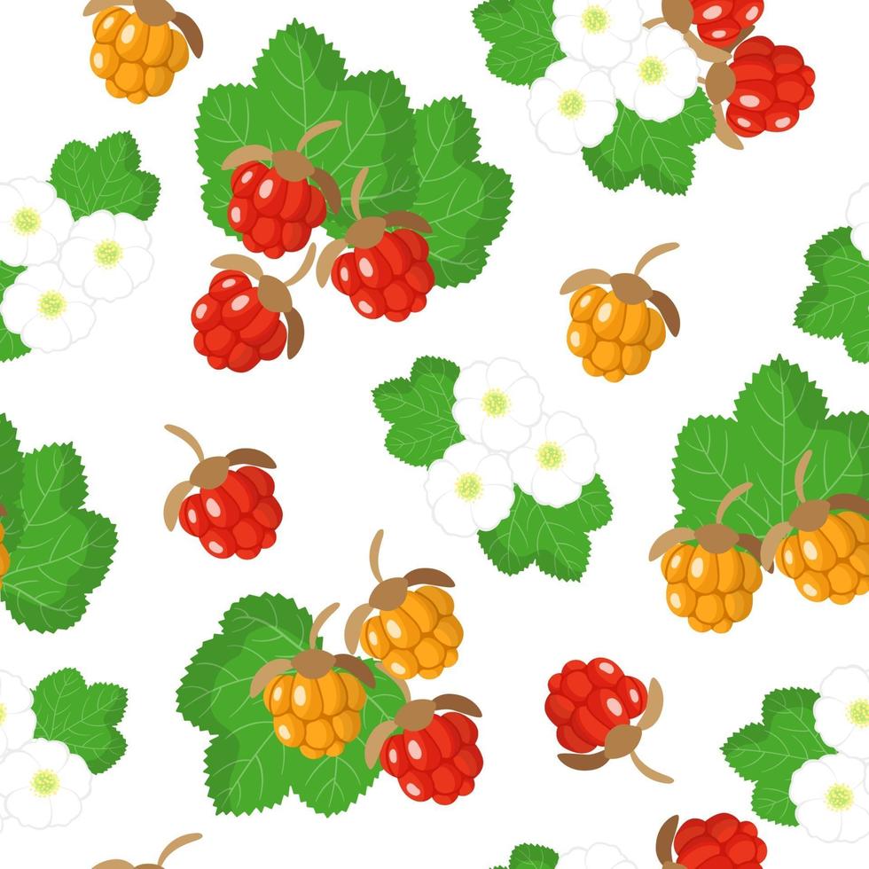 Vector cartoon seamless pattern with Rubus chamaemorus or cloudberry exotic fruits flowers and leafs on white background