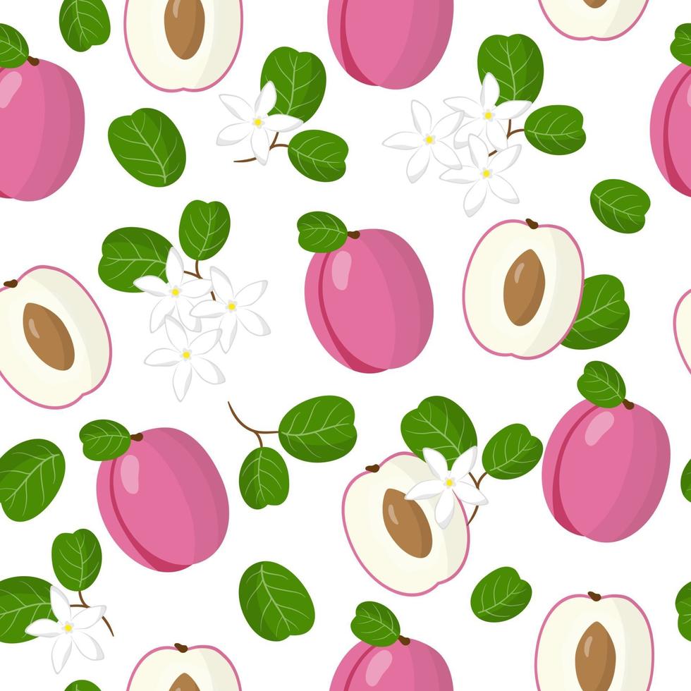 Vector cartoon seamless pattern with Chrysobalanus icaco plum exotic fruits, flowers and leafs on white background