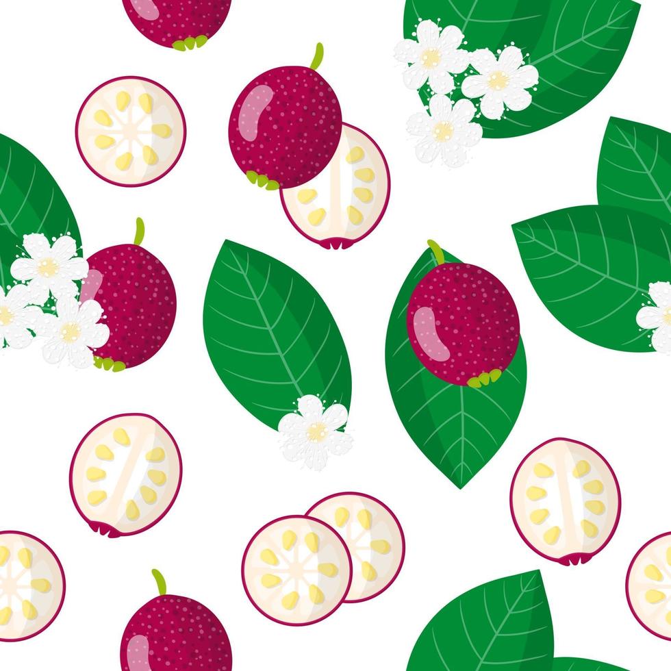 Vector de dibujos animados de patrones sin fisuras con frutas exóticas de guayaba cattley, flores y hojas sobre fondo blanco.