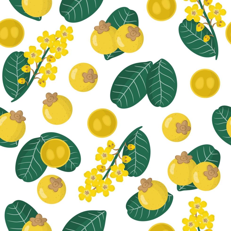 Vector cartoon seamless pattern with Byrsonima crassifolia or nance exotic fruits, flowers and leafs on white background