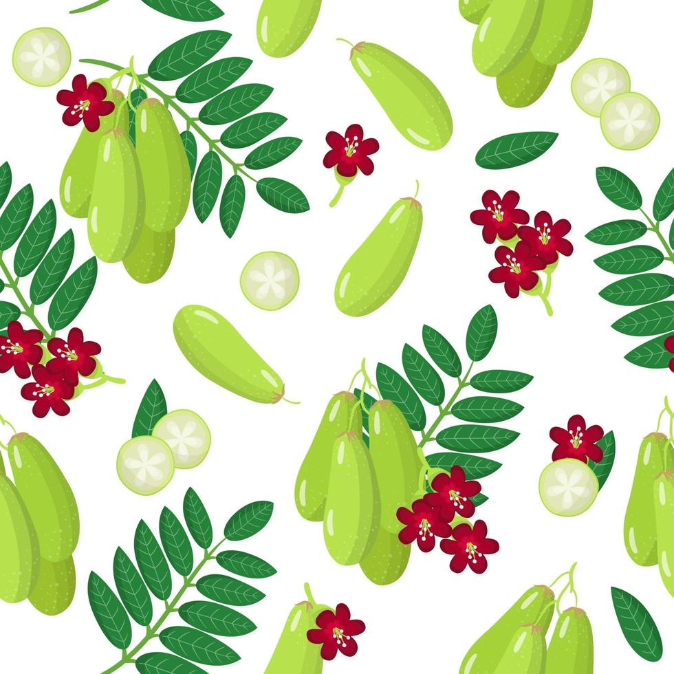 Vector de dibujos animados de patrones sin fisuras con bilimbi o pepino frutas exóticas, flores y hojas sobre fondo blanco.