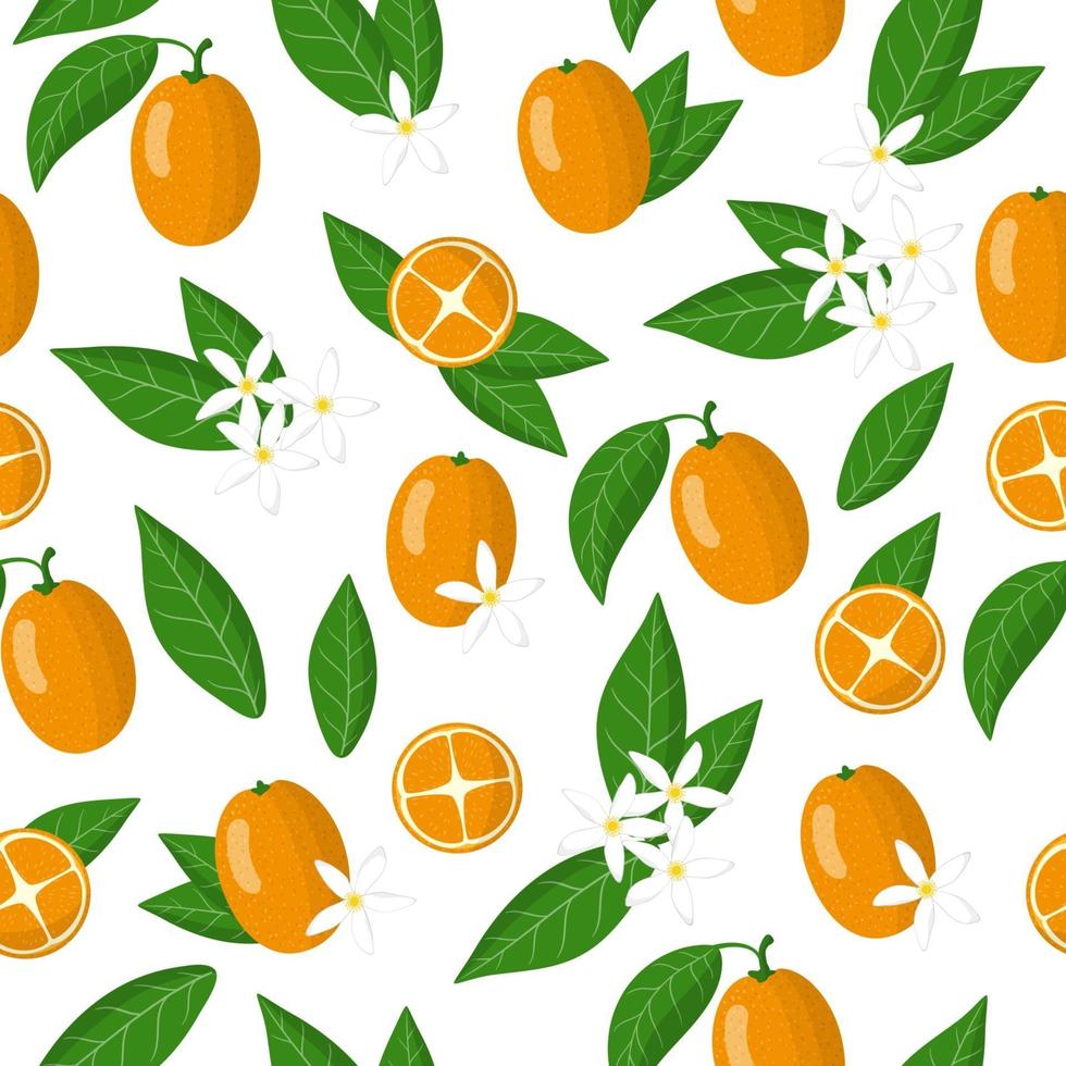 Vector de dibujos animados de patrones sin fisuras con fortunella o kumquat frutas exóticas, flores y hojas sobre fondo blanco.