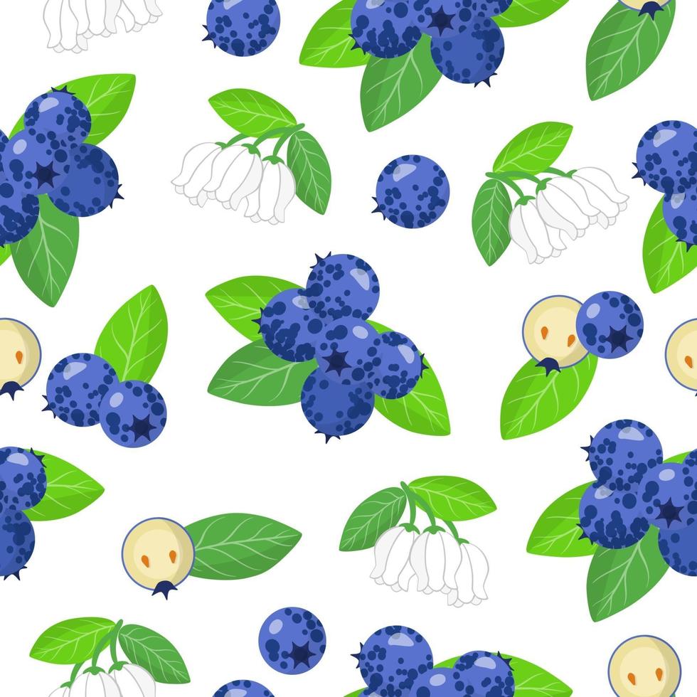Vector cartoon seamless pattern with Blueberries exotic fruits, flowers and leafs on white background