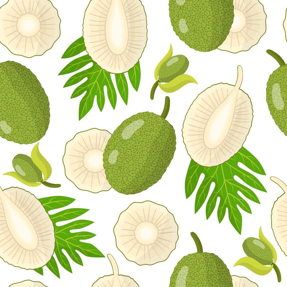Vector cartoon seamless pattern with Artocarpus altilis or Breadfruit exotic fruits flowers and leaf on white background
