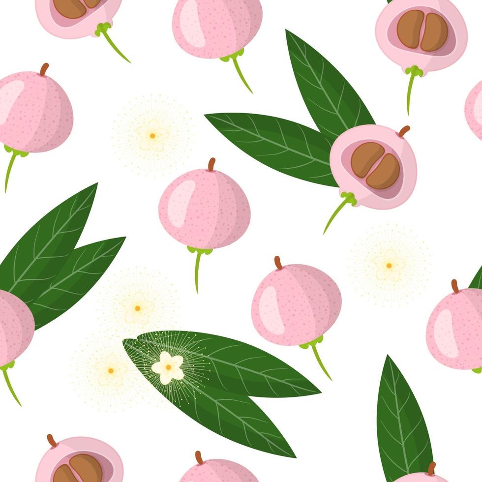 Vector cartoon seamless pattern with Syzygium jambos or Pomarose exotic fruits, flowers and leafs on white background