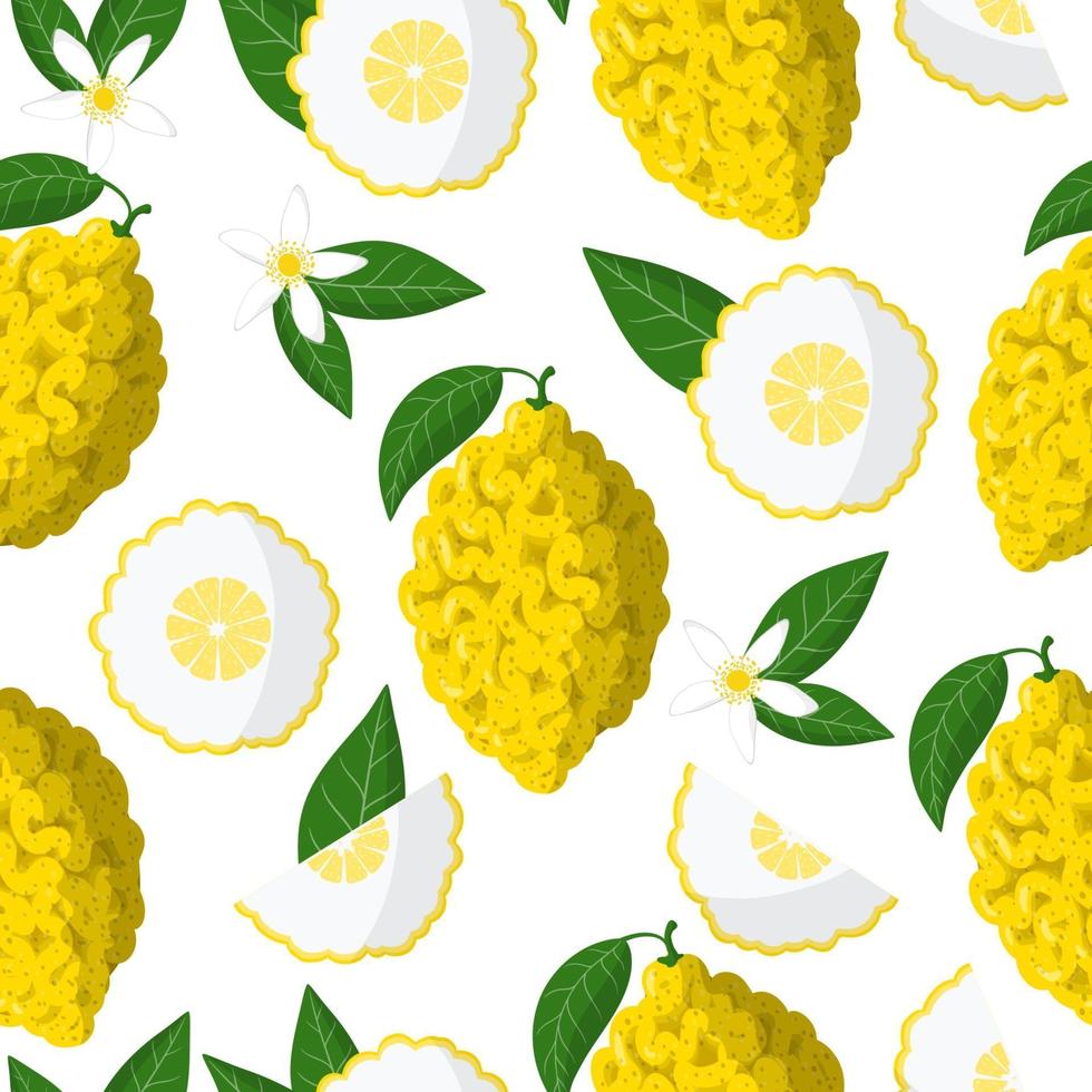 Vector cartoon seamless pattern with Citrus medica or Citron exotic fruits, flowers and leafs on white background