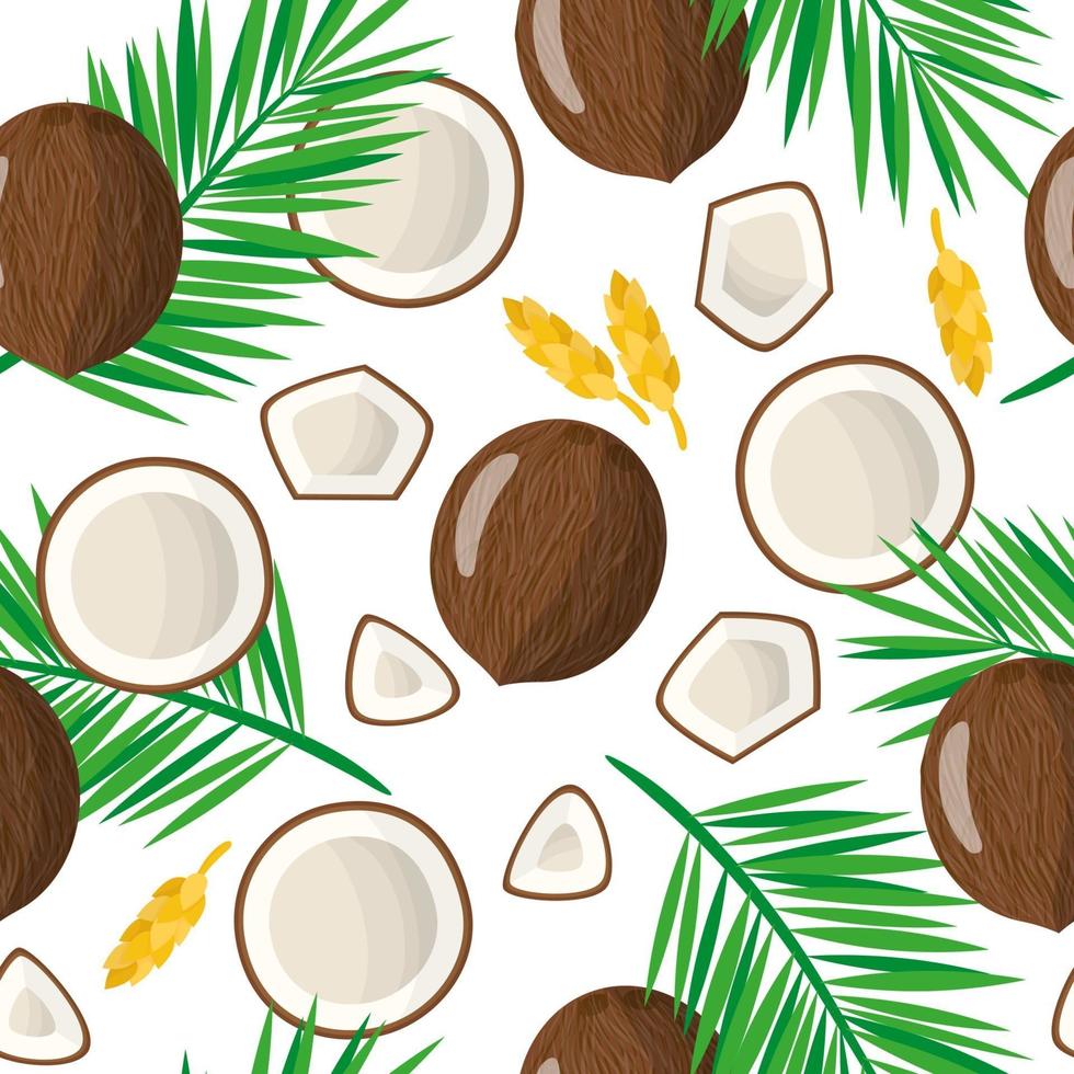 Vector de dibujos animados de patrones sin fisuras con cocos nucifera o frutas exóticas de coco, flores y hojas sobre fondo blanco.