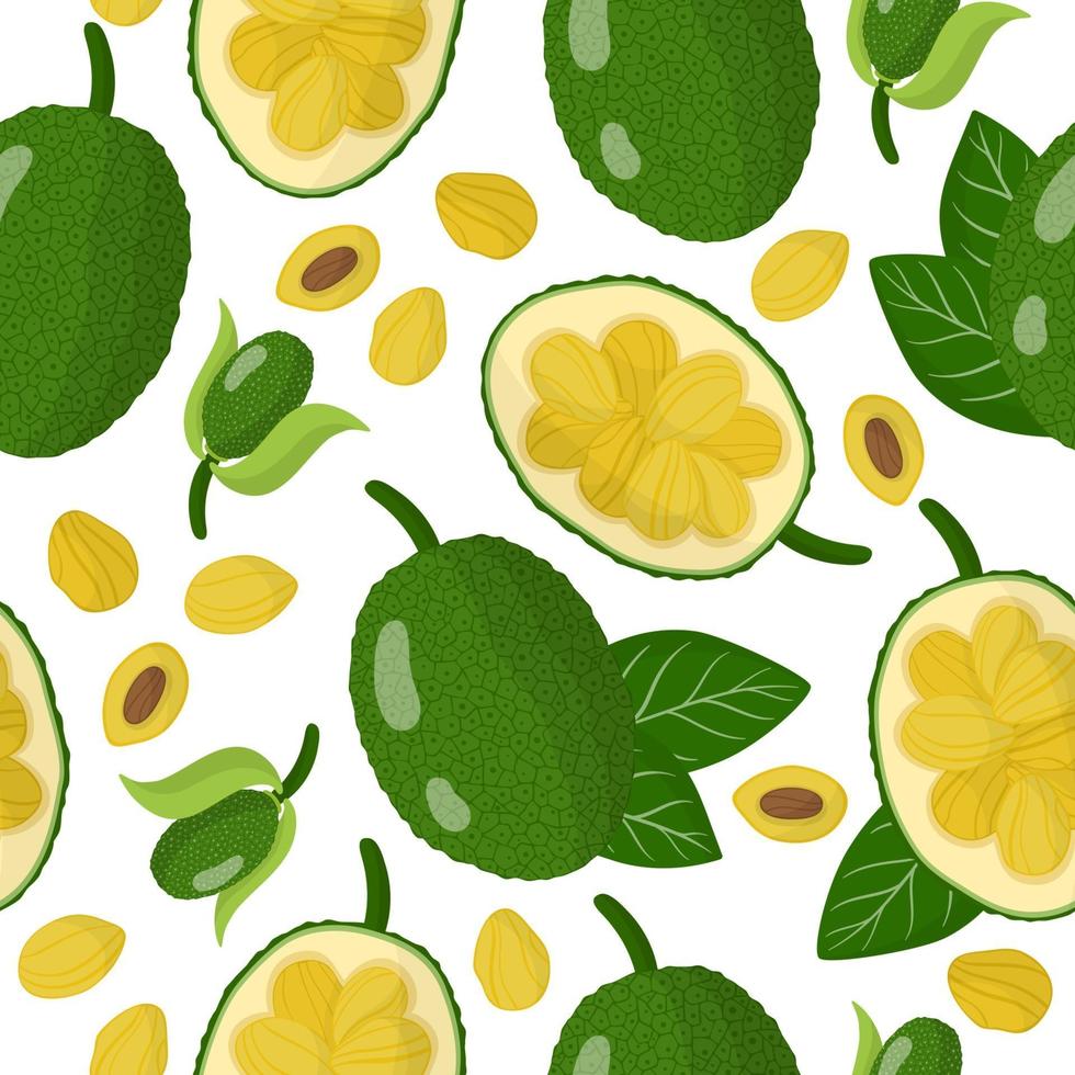 Vector cartoon seamless pattern with Jackfruit exotic fruits, flowers and leafs on white background