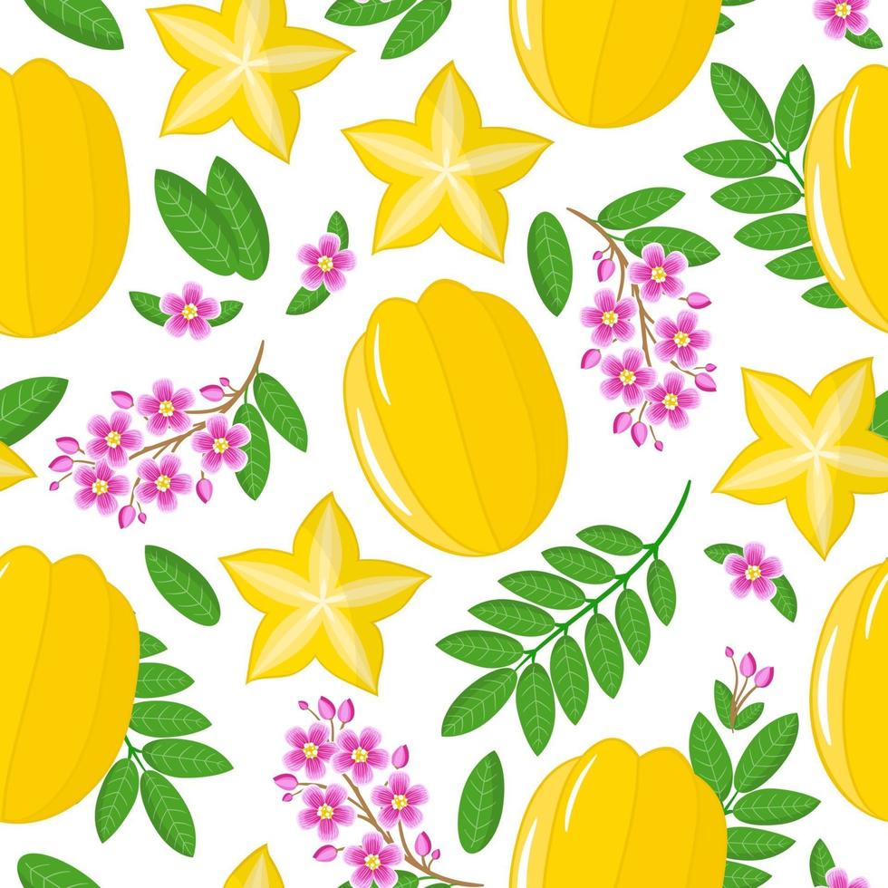 Vector de dibujos animados de patrones sin fisuras con averrhoa carambola o fruta estrella frutas exóticas flores y hojas sobre fondo blanco.