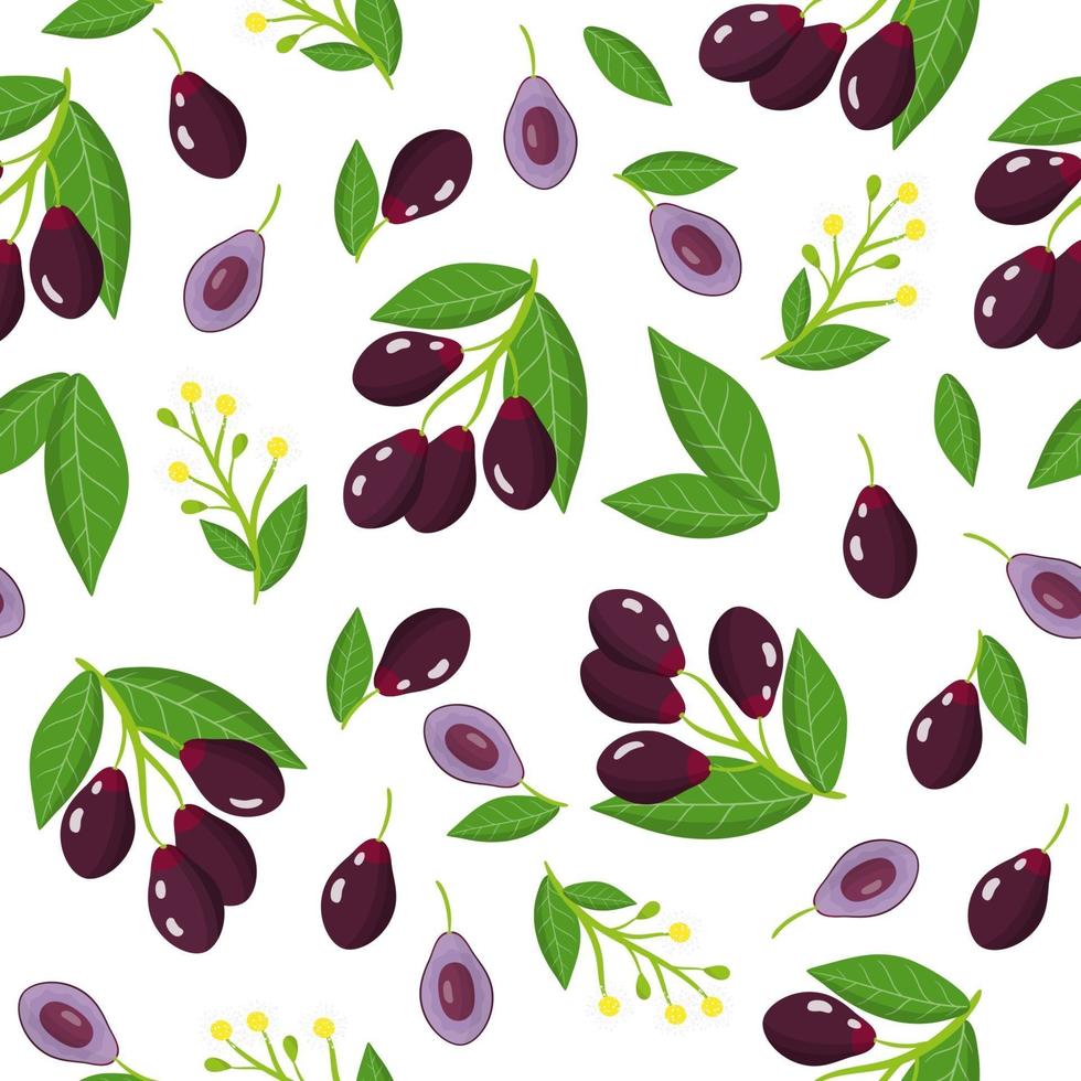 Vector cartoon seamless pattern with Syzygium cumini or Jambolan exotic fruits, flowers and leafs on white background