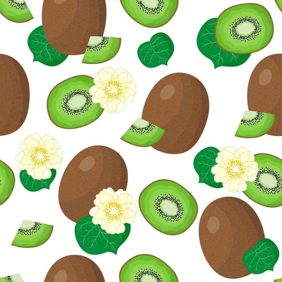 Vector de dibujos animados de patrones sin fisuras con actinidia chinensis o kiwis frutas exóticas flores y hojas sobre fondo blanco.