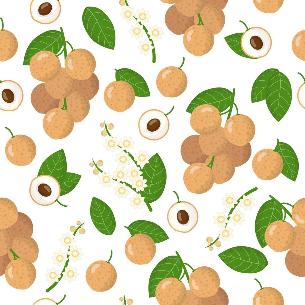 Vector cartoon seamless pattern with Dimocarpus longan exotic fruits, flowers and leafs on white background