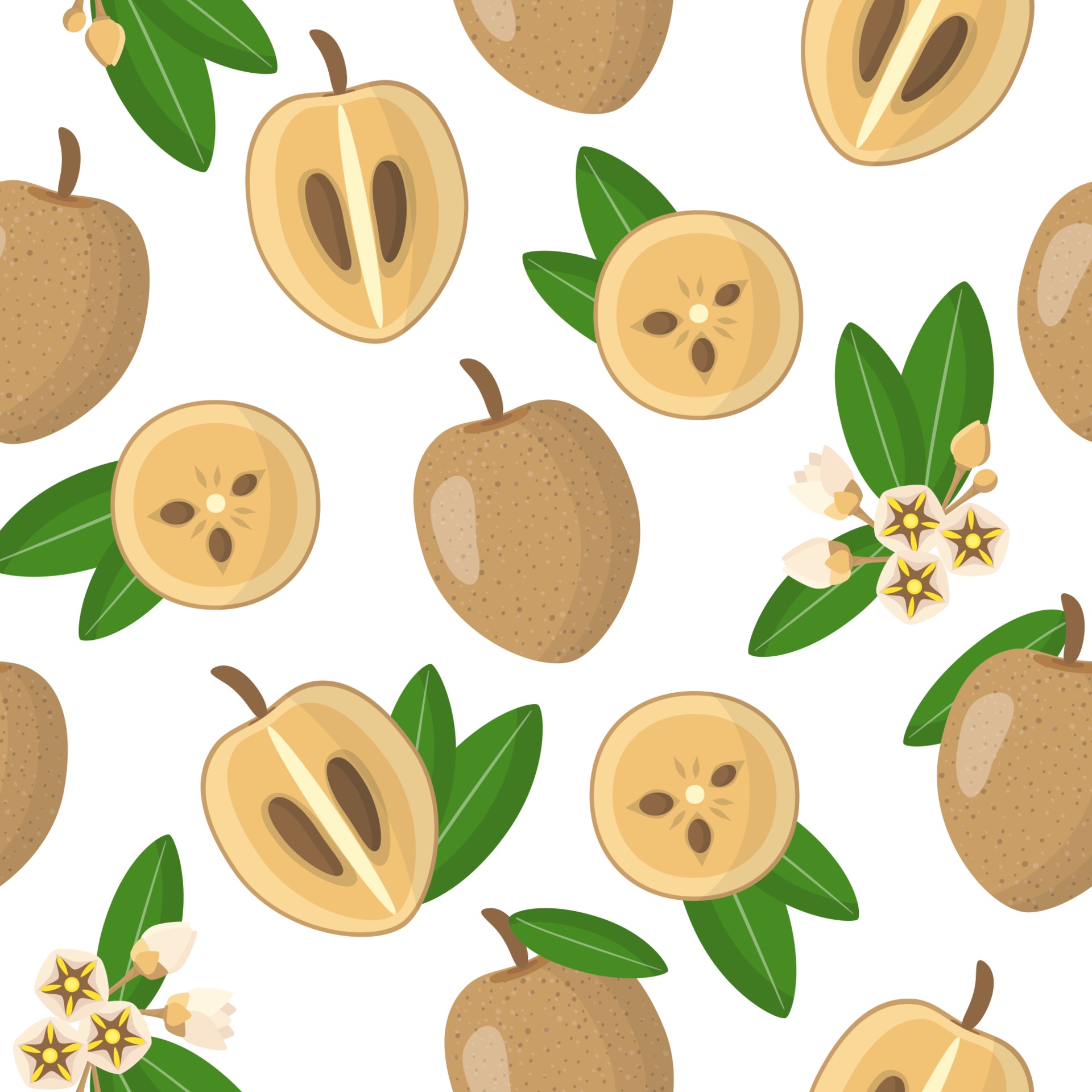 Vector Cartoon Seamless Pattern With Manilkara Zapota Or Sapodilla Exotic Fruits Flowers And Leafs On White Background 2305703 Vector Art At Vecteezy