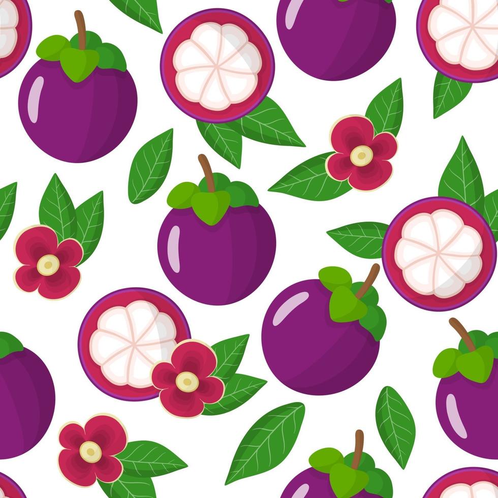 Vector de dibujos animados de patrones sin fisuras con frutas exóticas de mangostán púrpura, flores y hojas sobre fondo blanco.