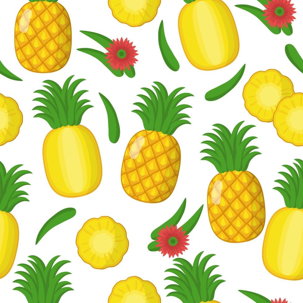 Vector de dibujos animados de patrones sin fisuras con ananas comosus o piña frutas exóticas, flores y hojas sobre fondo blanco.