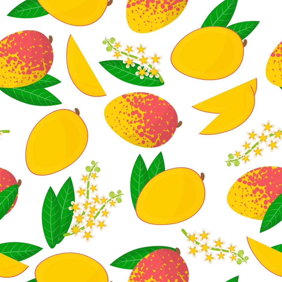 Vector cartoon seamless pattern with Mangifera indica or Mango exotic fruits, flowers and leafs on white background
