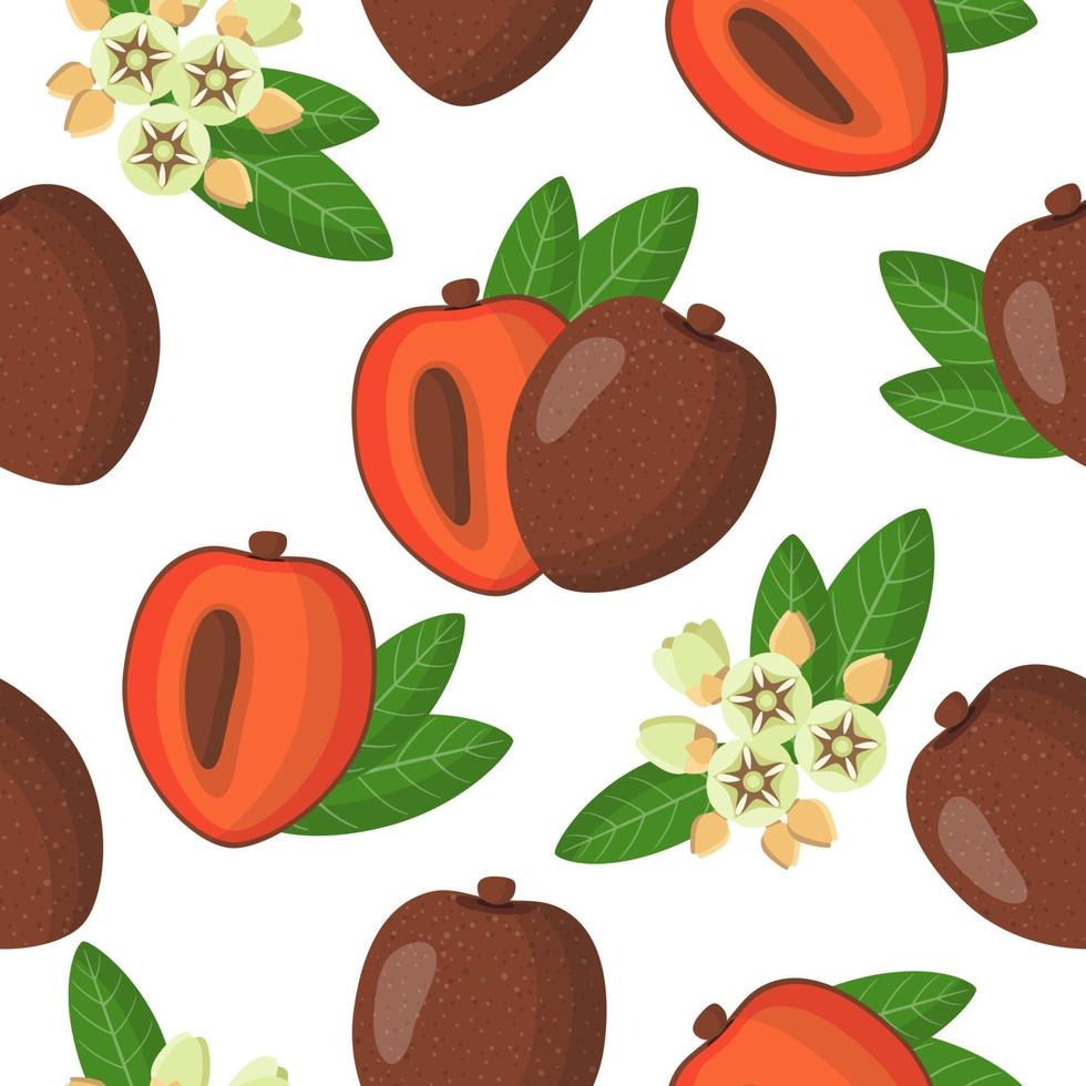 Vector cartoon seamless pattern with Pouteria sapota or Sapota exotic fruits, flowers and leafs on white background