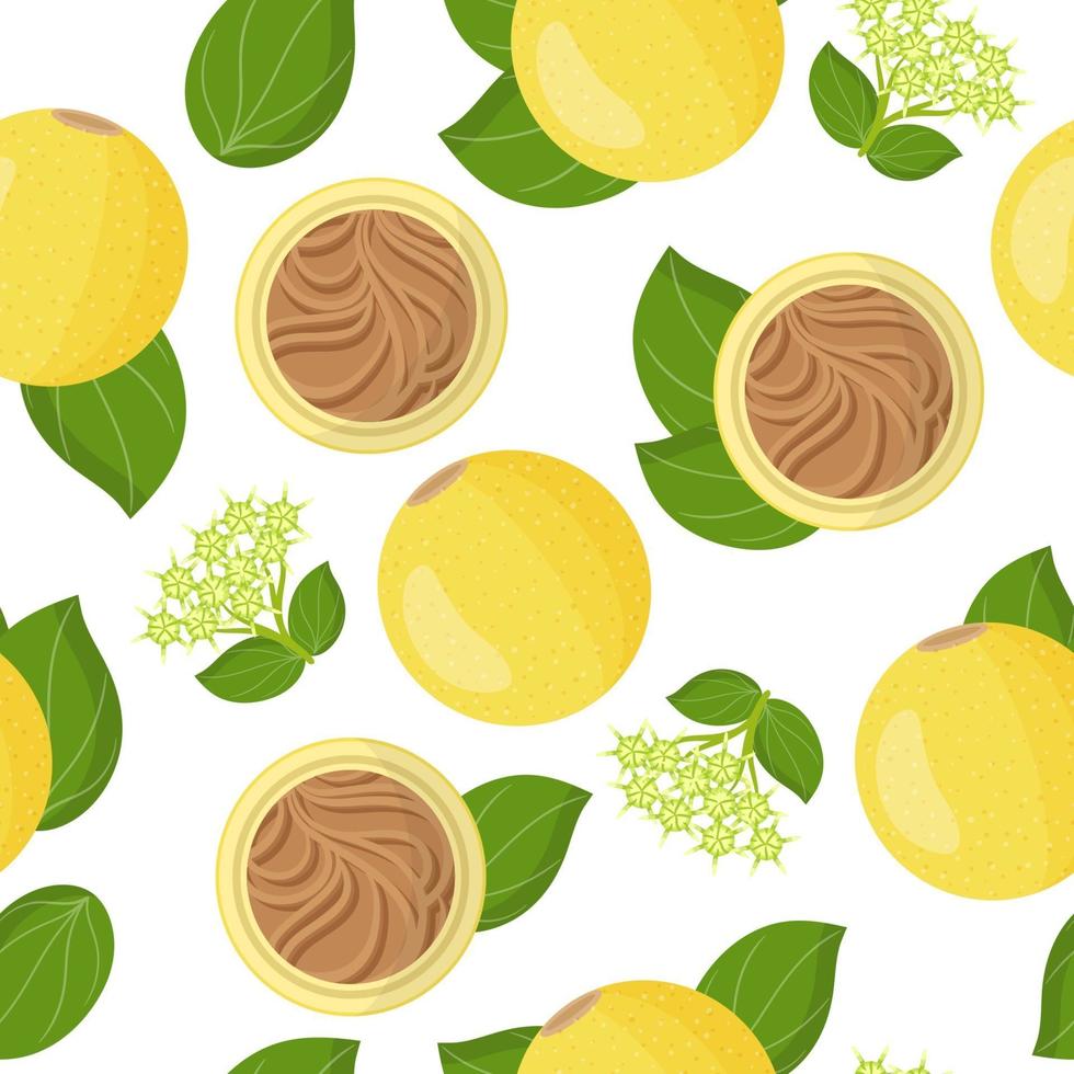 Vector cartoon seamless pattern with Strychnos spinosa exotic fruits, flowers and leafs on white background