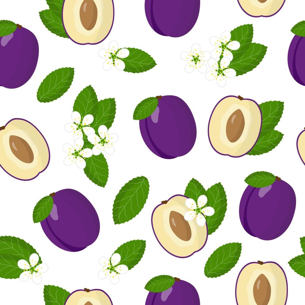 Vector cartoon seamless pattern with Prunus domestica or purple Plum exotic fruits, flowers and leaf on white background