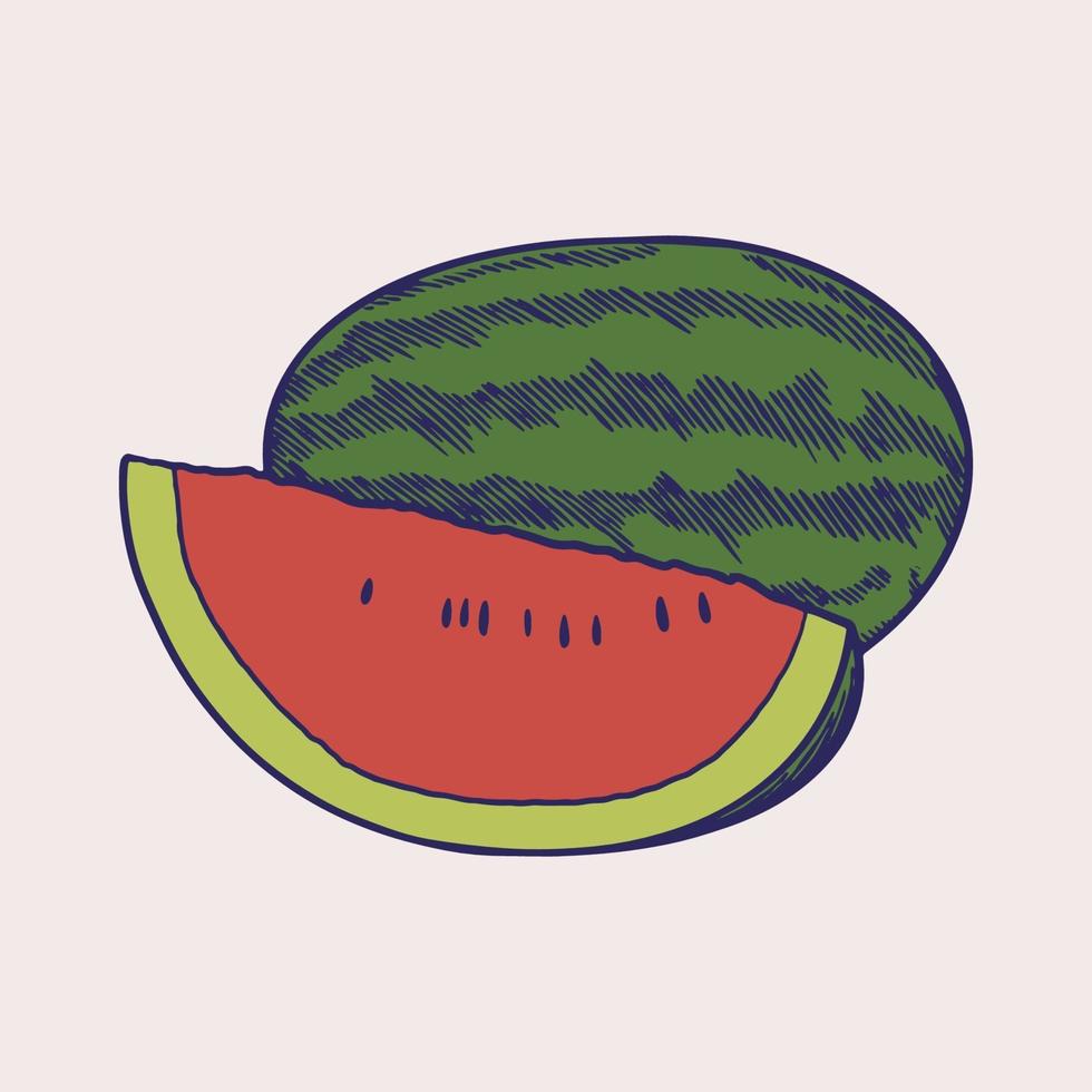 Hand drawn engraved sketch of fresh watermelon fruits. Vegetarian food concept. A whole and slice of watermelon with colored isolated in vintage style. Summer fruit great for label, poster, print vector