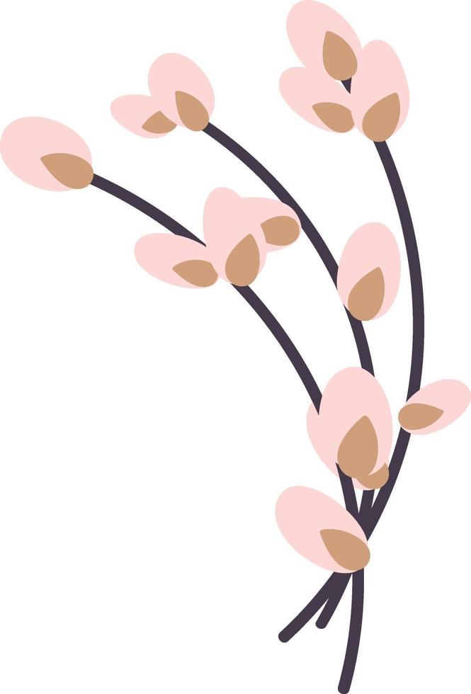 willow twig. vector illustration