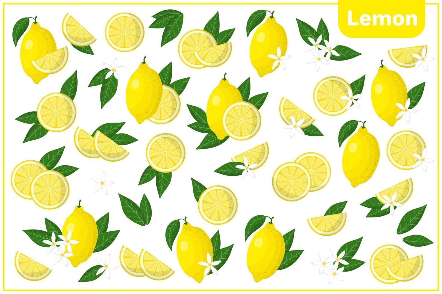 Conjunto de ilustraciones de dibujos animados vectoriales con frutas exóticas de limón, flores y hojas aisladas sobre fondo blanco vector