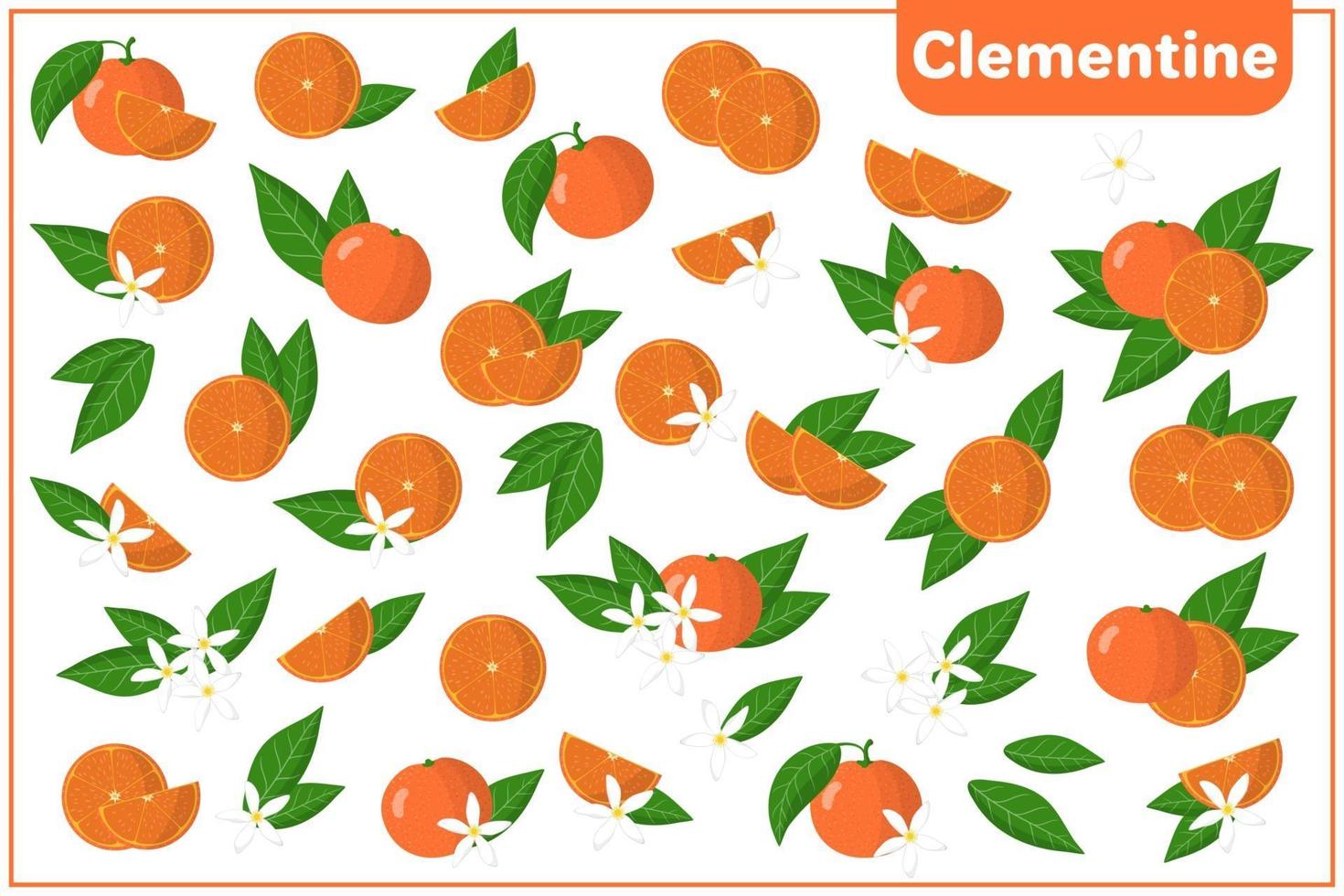 Conjunto de ilustraciones de dibujos animados vectoriales con frutas exóticas cítricas, flores y hojas aisladas sobre fondo blanco vector