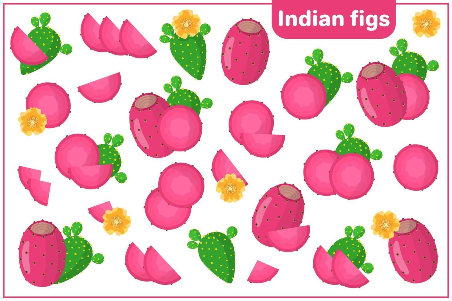 Set of vector cartoon illustrations with Indian Figs exotic fruits, flowers and leaves isolated on white background