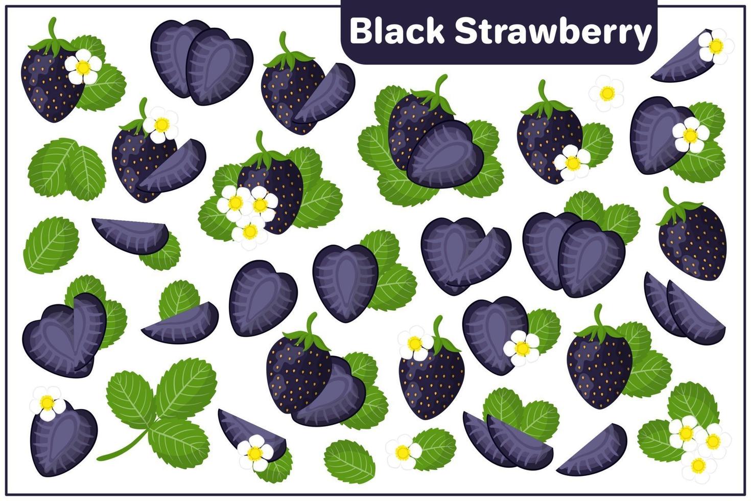 Conjunto de ilustraciones de dibujos animados vectoriales con frutas exóticas de fresa negra, flores y hojas aisladas sobre fondo blanco vector