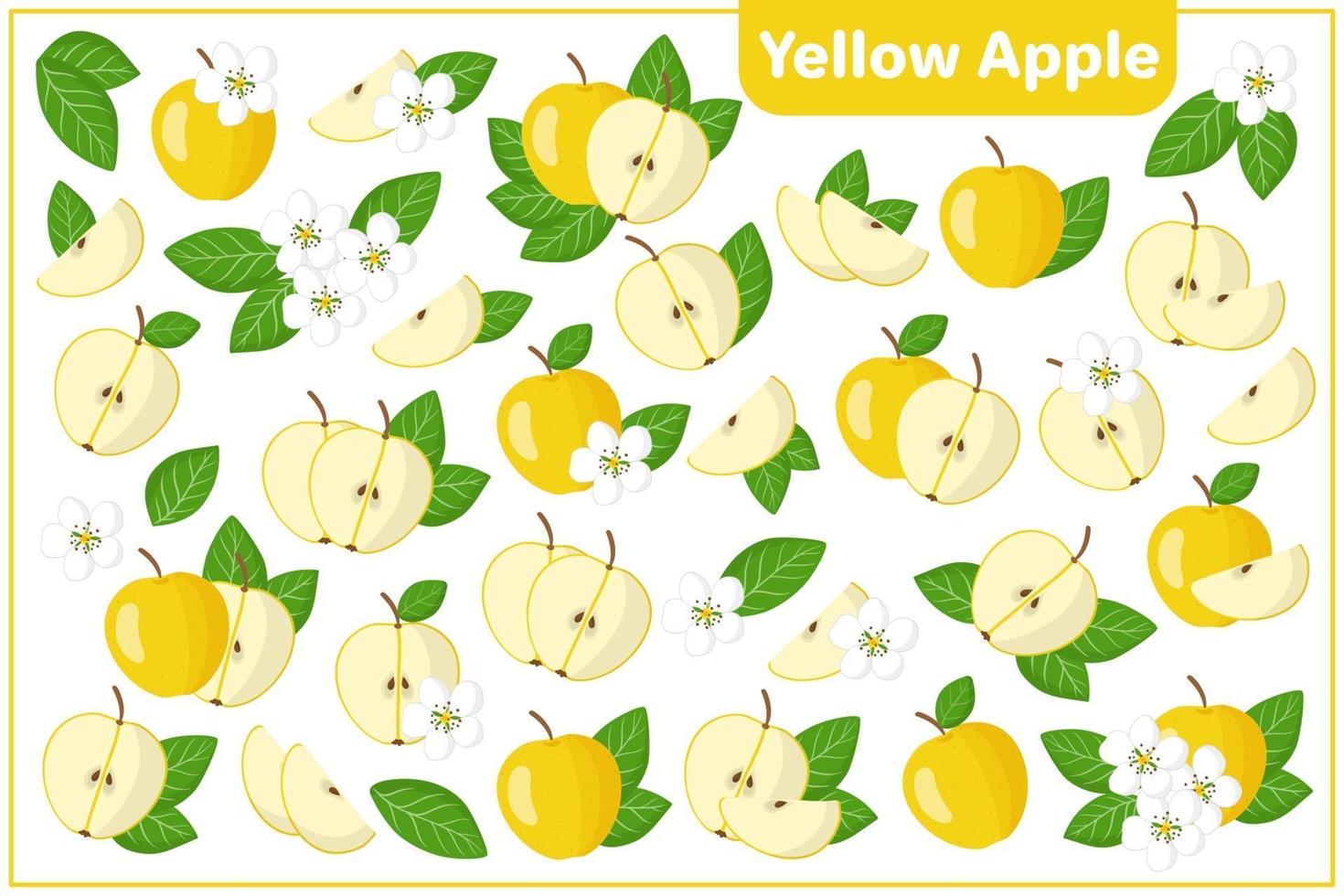 Set of vector cartoon illustrations Yellow apple exotic fruits, flowers and leaves isolated on white background