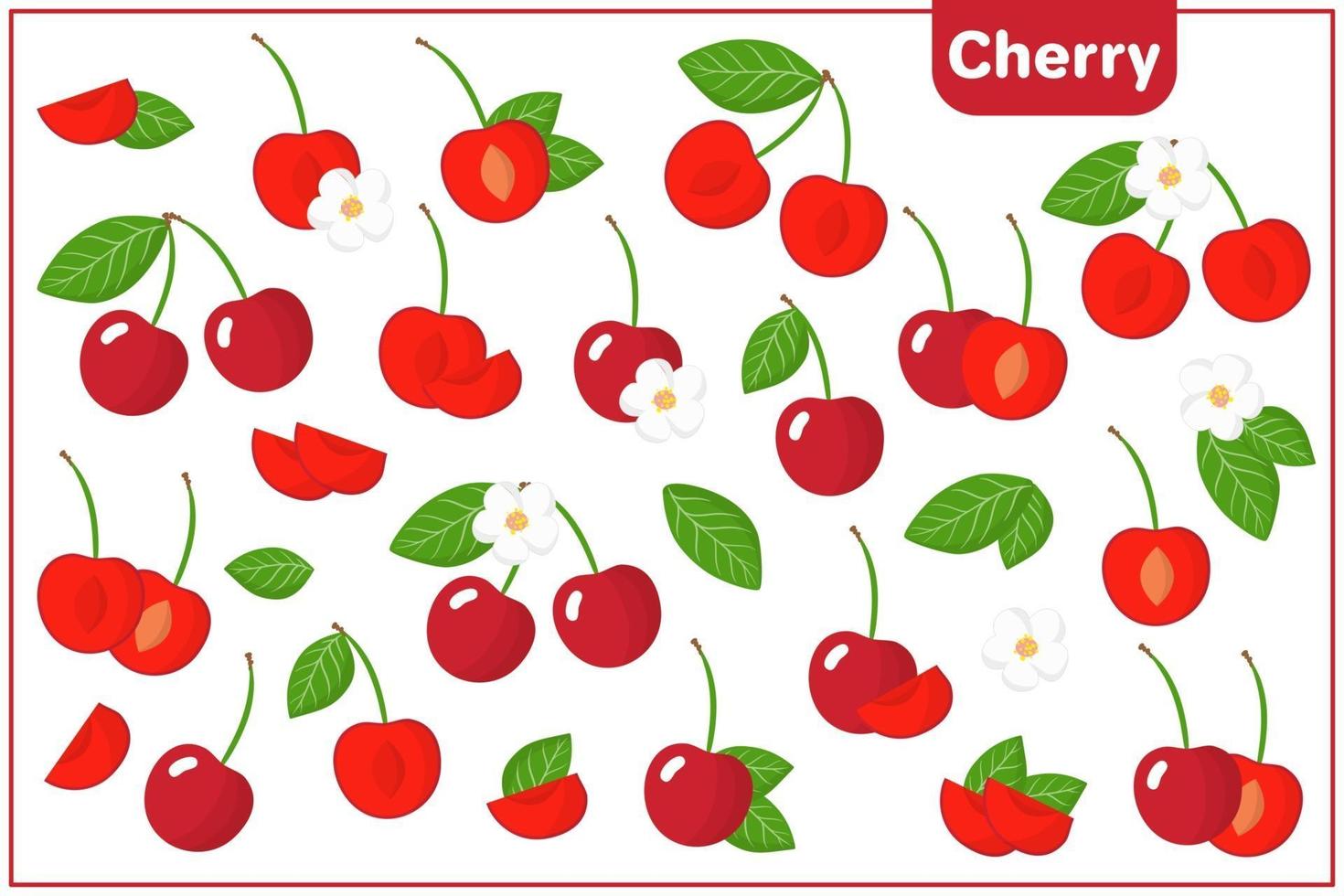 conjunto de ilustraciones de dibujos animados de vectores con frutas exóticas cereza, flores y hojas aisladas sobre fondo blanco