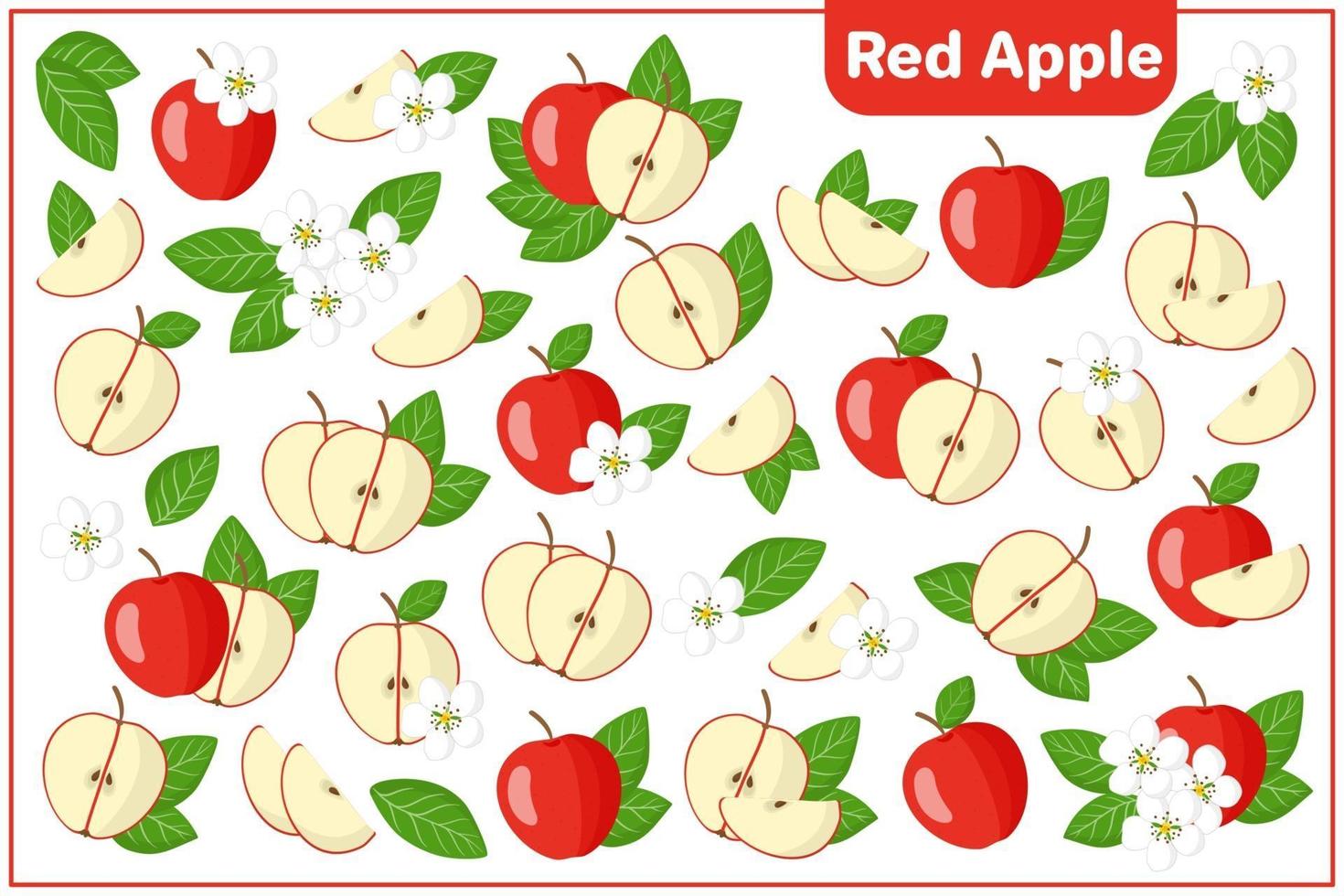 Set of vector cartoon illustrations with Red apple exotic fruits, flowers and leaves isolated on white background