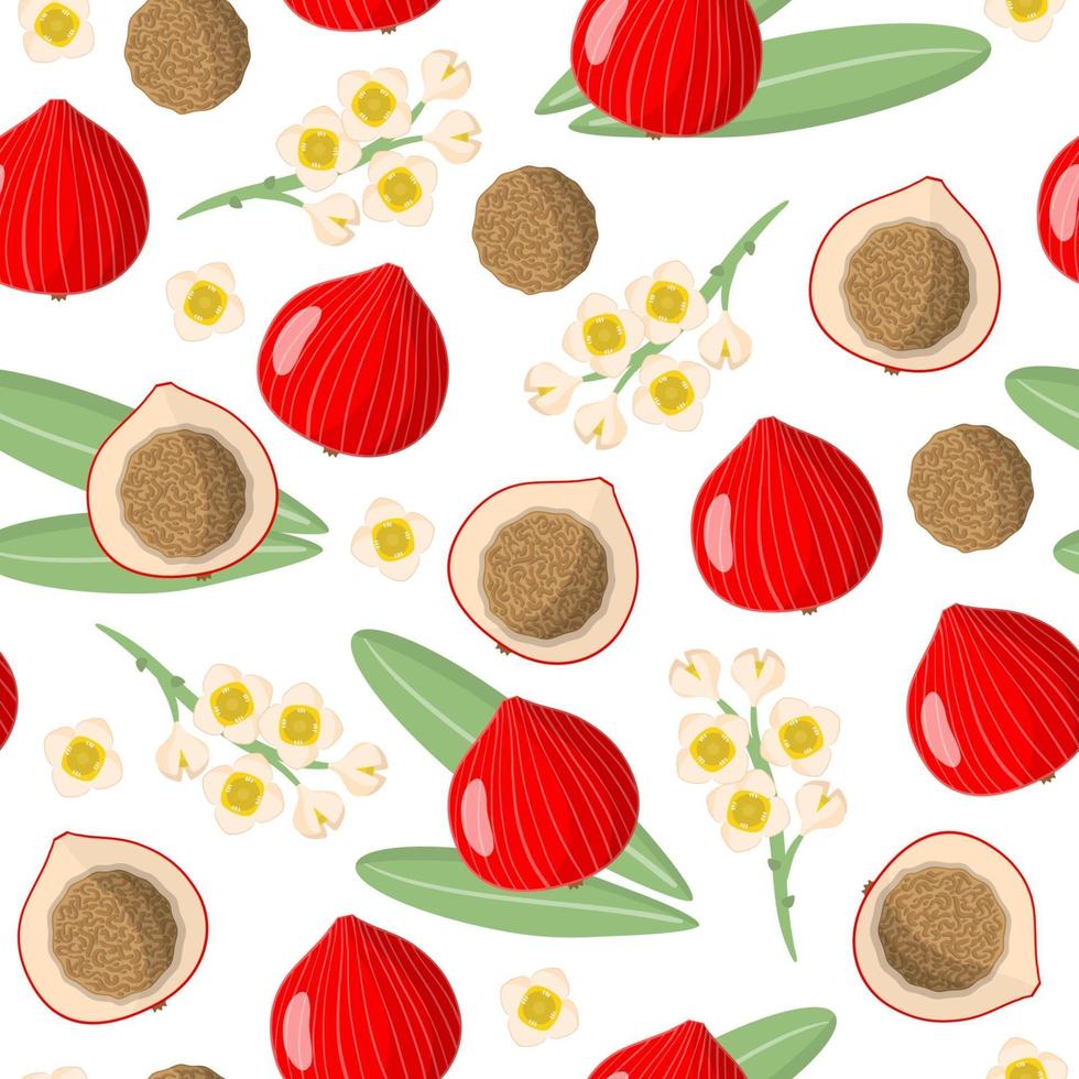 Vector cartoon seamless pattern with Desert Quandong exotic fruits, flowers and leafs on white background