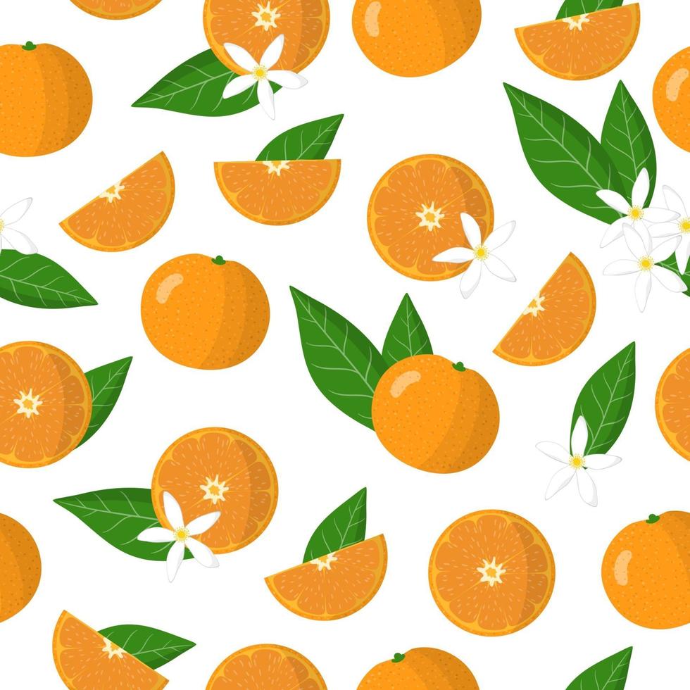 Vector cartoon seamless pattern with Citrus Mandarin orange exotic fruits, flowers and leafs on white background