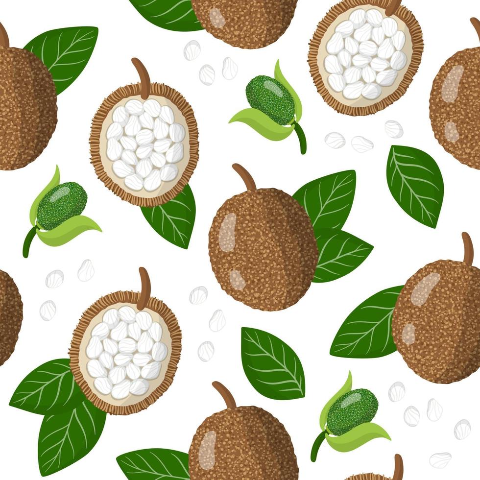 Vector cartoon seamless pattern with marang exotic fruits, flowers and leafs on white background