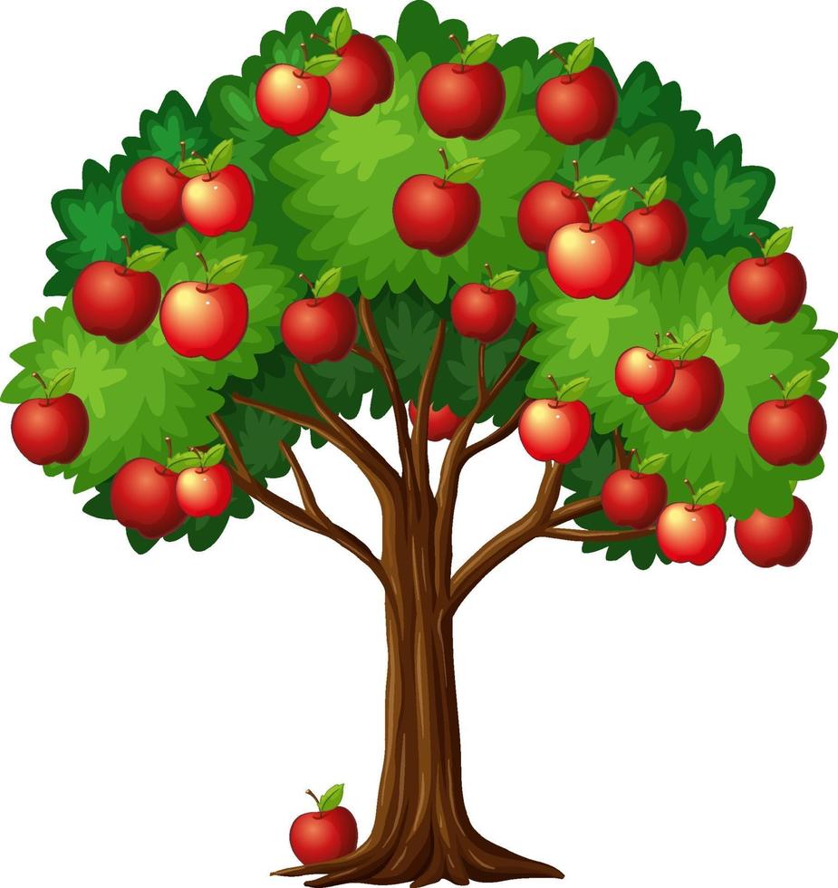 Muchas manzanas rojas en un árbol aislado sobre fondo blanco. vector