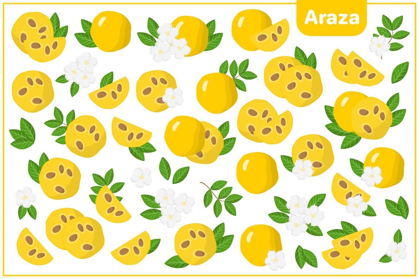 Conjunto de ilustraciones de dibujos animados vectoriales con araza frutas exóticas, flores y hojas aisladas sobre fondo blanco vector