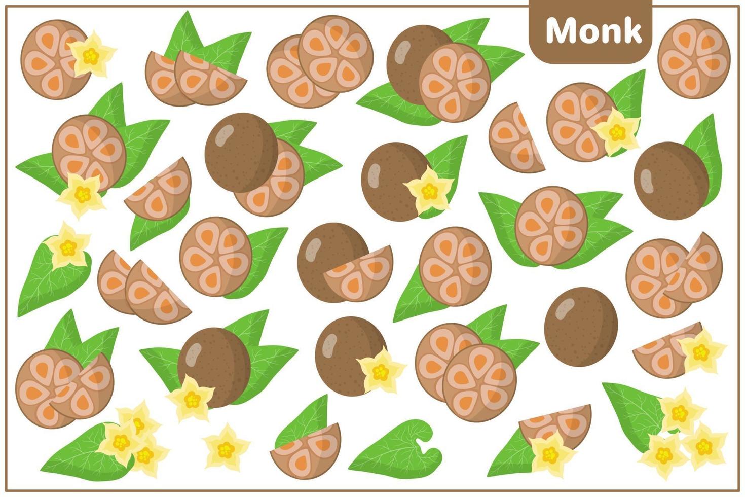 Set of vector cartoon illustrations with Monk exotic fruits, flowers and leaves isolated on white background