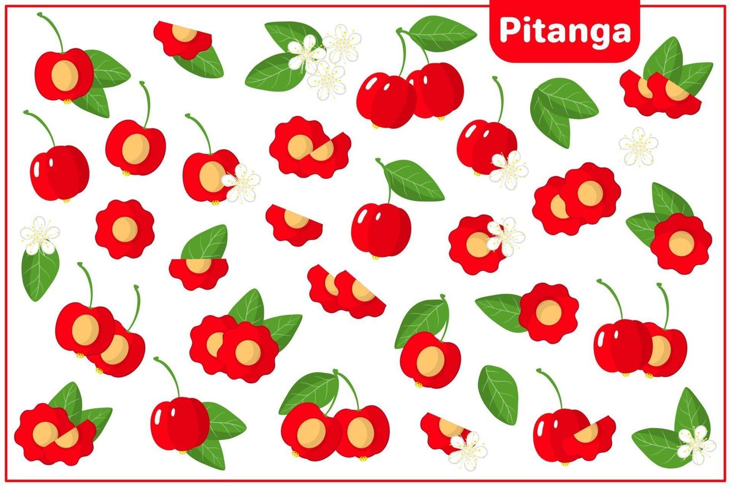 Conjunto de ilustraciones de dibujos animados vectoriales con frutas exóticas pitanga, flores y hojas aisladas sobre fondo blanco vector