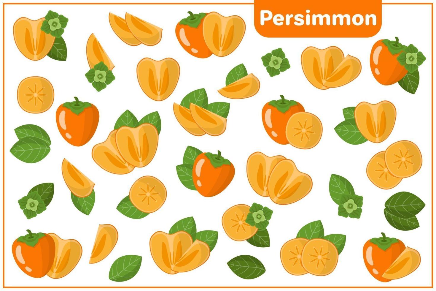 Set of vector cartoon illustrations with Persimmon exotic fruits, flowers and leaves isolated on white background