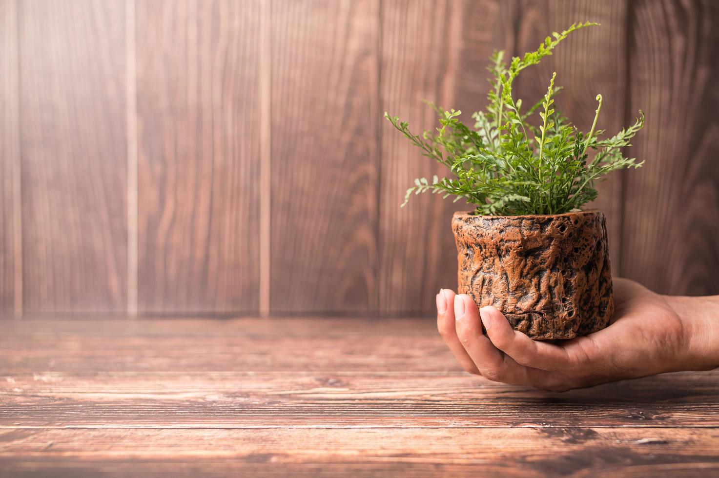 Hand holding a plant pot photo