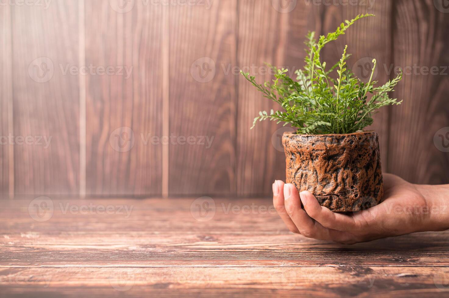 A hand holding a small plant in a wooden pot photo