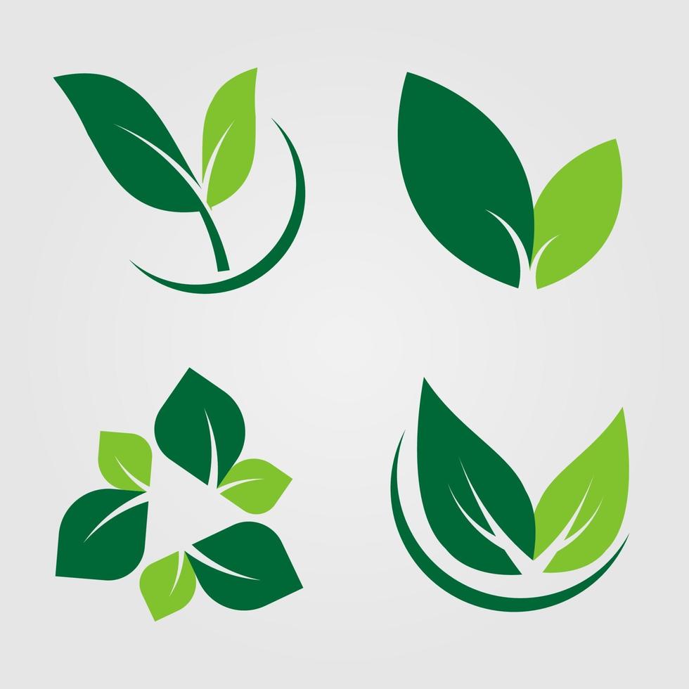 Set green leaves Icon,natural label on white background.Vector illustration vector