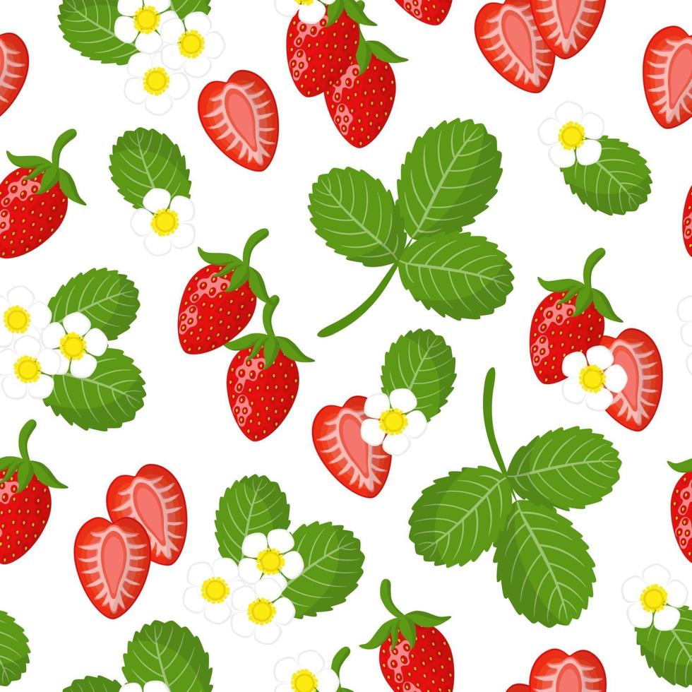 Vector de dibujos animados de patrones sin fisuras con fragaria vesca o frutas exóticas de fresa silvestre, flores y hojas sobre fondo blanco.