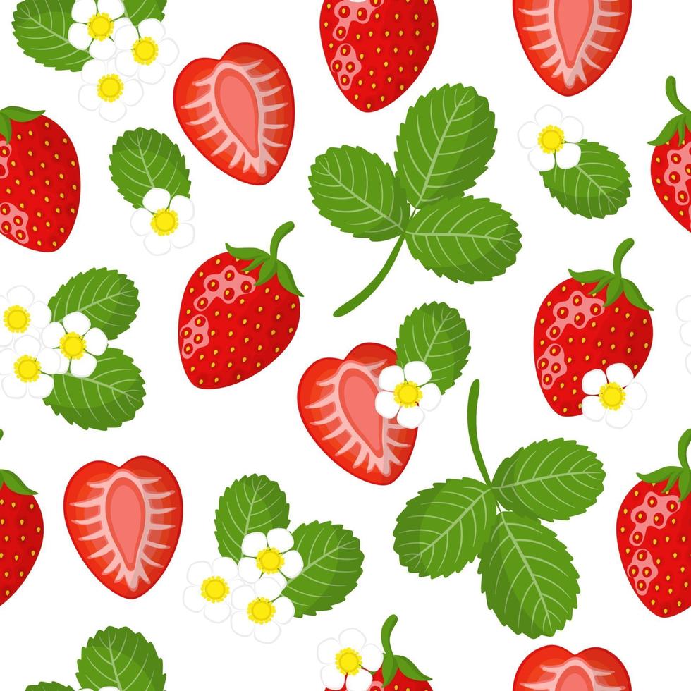 Vector cartoon seamless pattern with red garden Strawberry exotic fruits, flowers and leafs on white background
