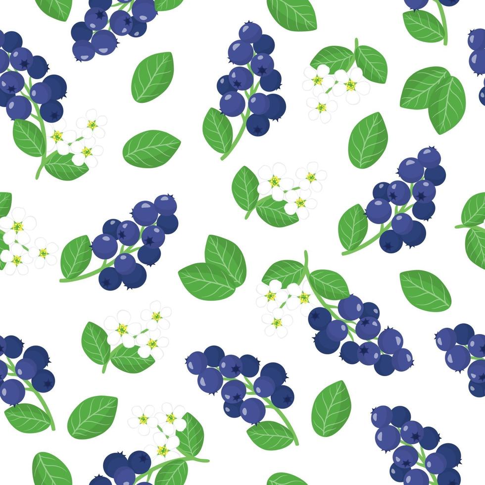 Vector cartoon seamless pattern with Amelanchier or shadberry exotic fruits, flowers and leafs on white background